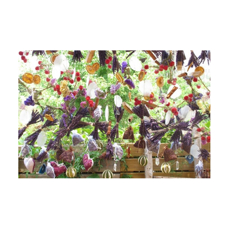 Lavanda Experience - productos únicos